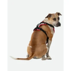 NathanK9 Reflective Dog Harness - Harnais pour chien