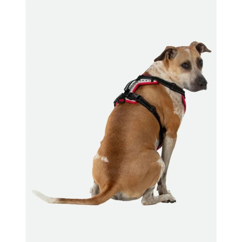 NathanK9 Reflective Dog Harness - Harnais pour chien