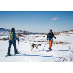 Non-stop dogwearFerd Belt - Ceinture canirando