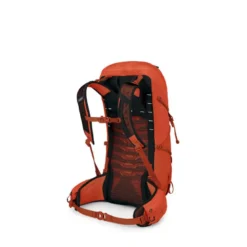 OspreyTalon Pro 30 - Sac à dos randonnée homme