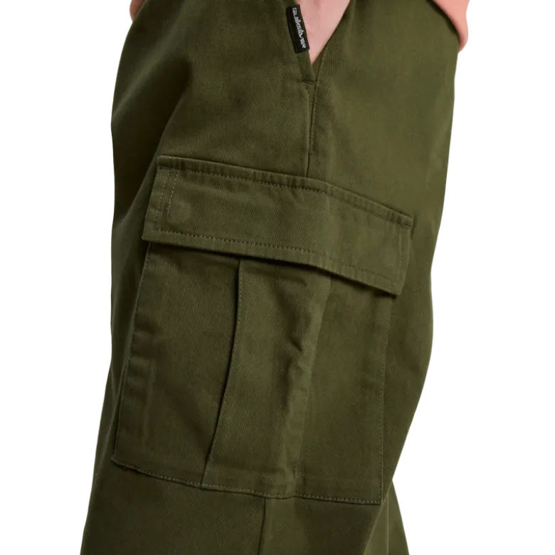 QuiksilverTaxer Regular Cargo Pant - Pantalon homme