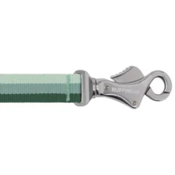 RuffwearRoamer Leash - Laisse canicross